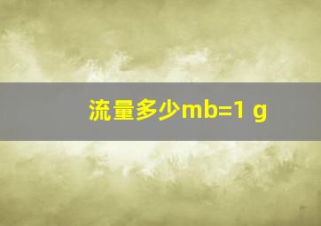 流量多少mb=1 g